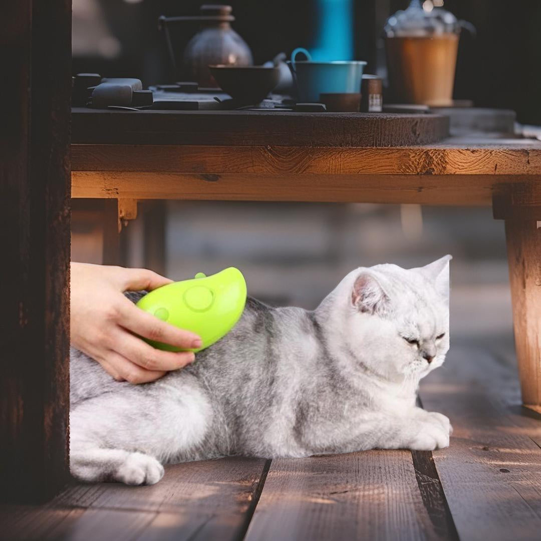 Cepillo de Limpieza Profunda con Vapor