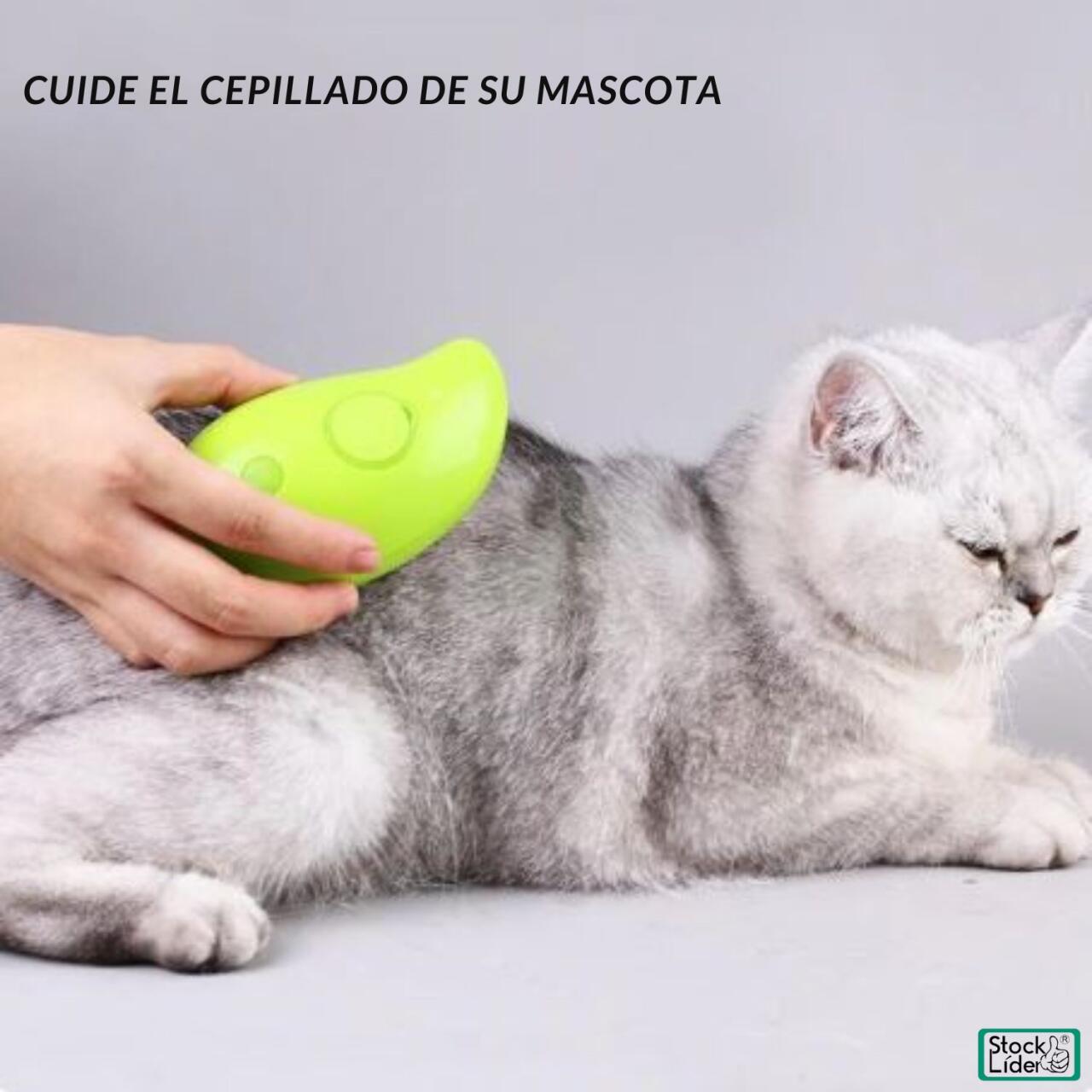 Cepillo de Limpieza Profunda con Vapor