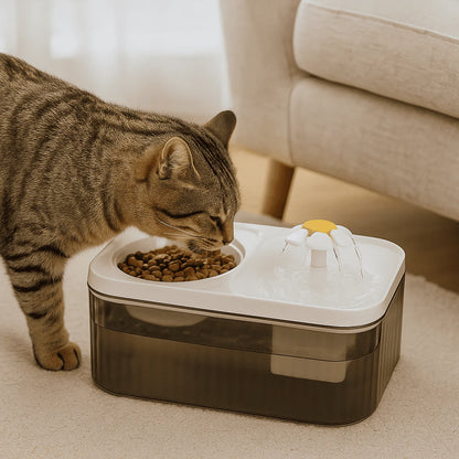 AquaPet 2 em 1 – Fonte + Taça Elevada