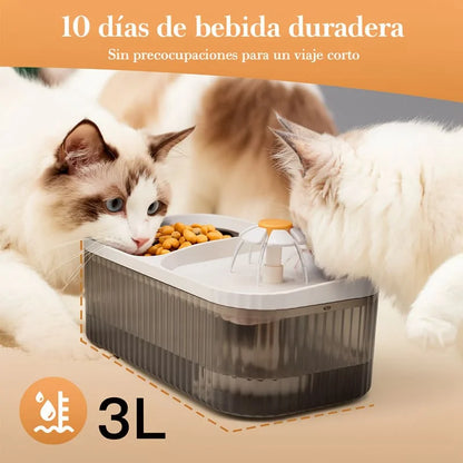 AquaPet 2 em 1 – Fonte + Taça Elevada