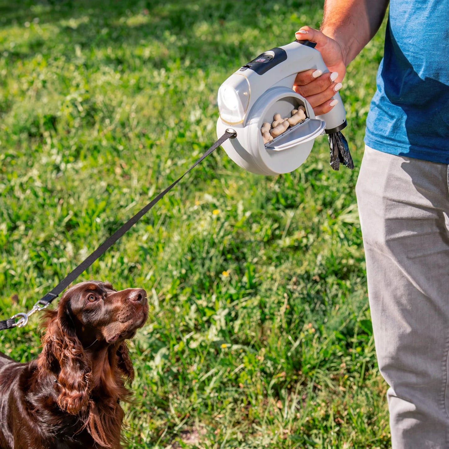 Correia Retrátil para Cães 6 em 1