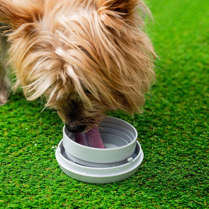 Correia Retrátil para Cães 6 em 1