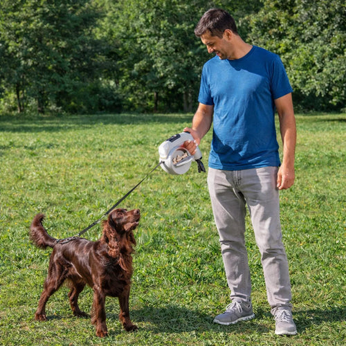 Correia Retrátil para Cães 6 em 1