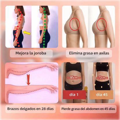 Rodillo Abdominal Automático