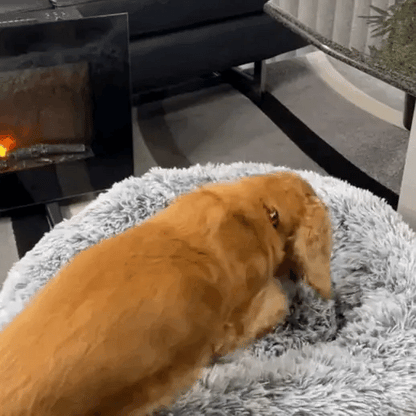 Cama Antiestrés para Mascotas Bepess  Ø 60 cm