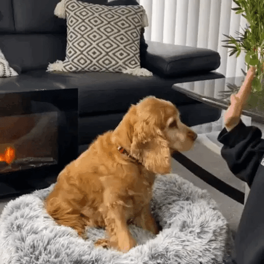 Cama Antiestrés para Mascotas Bepess  Ø 60 cm
