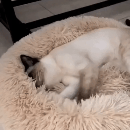 Cama Antiestrés para Mascotas Bepess  Ø 60 cm