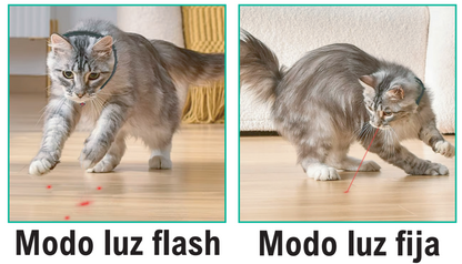 LaserCat – Collar Láser Interactivo para Gatos