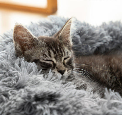 Cama Antiestrés para Mascotas Bepess  Ø 60 cm