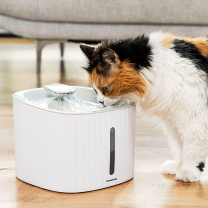 Fuente Automática para Mascotas Drinkatt® – Agua siempre fresca y pura