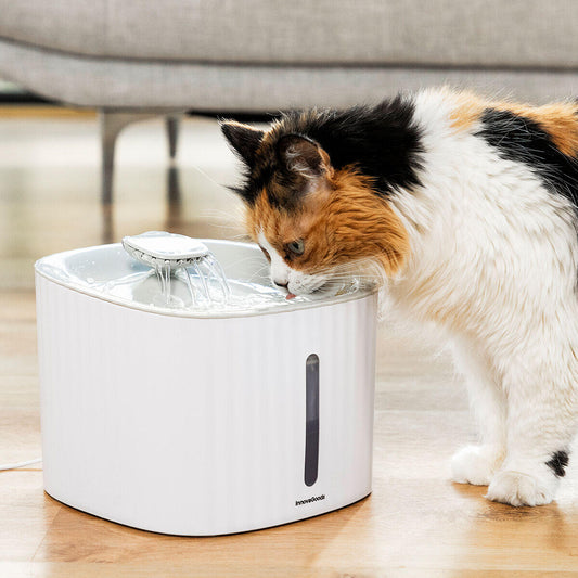 Fuente Automática para Mascotas Drinkatt® – Agua siempre fresca y pura