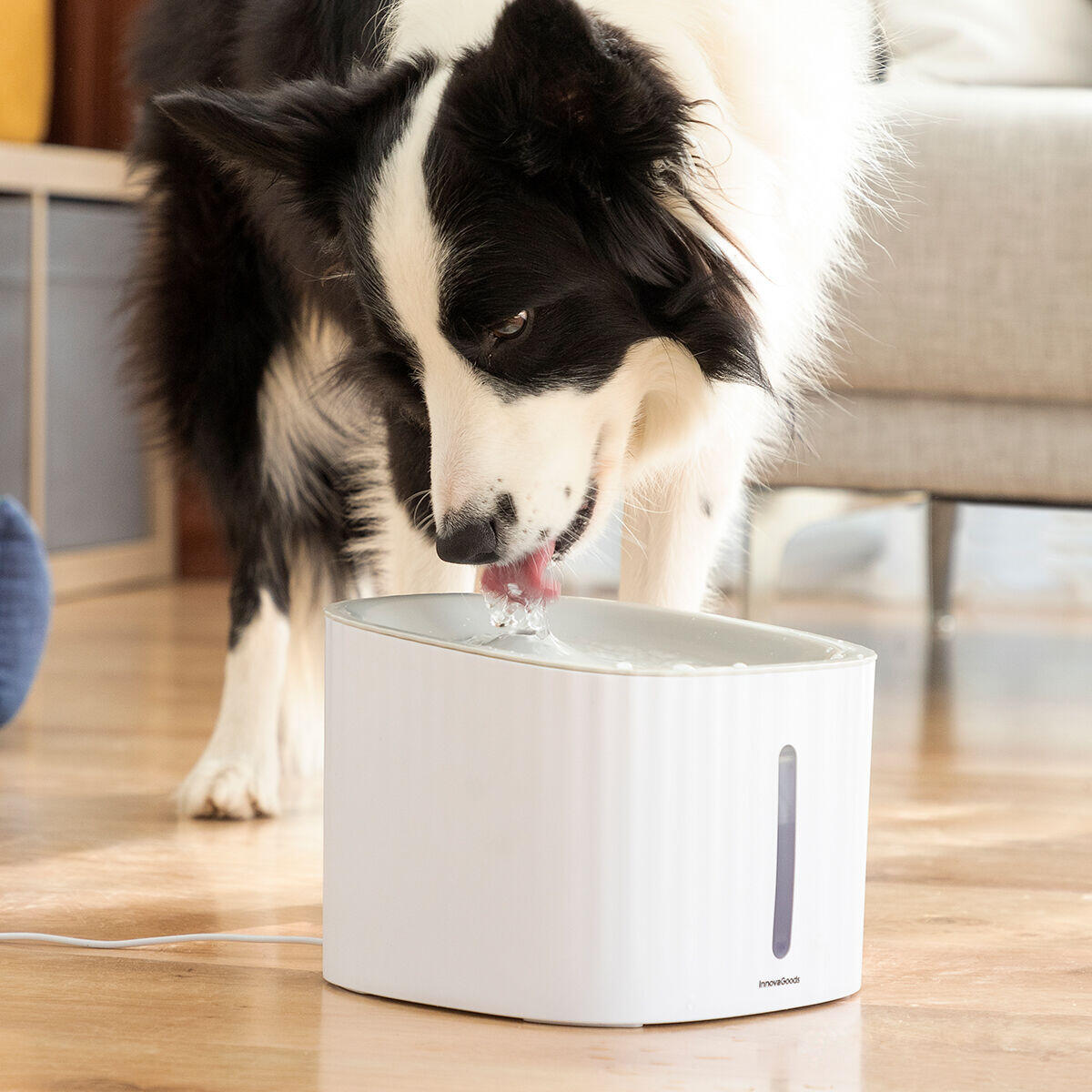 Fuente Automática para Mascotas Drinkatt® – Agua siempre fresca y pura